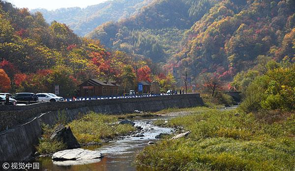 新开岭乡新项目引领乡村发展新征程