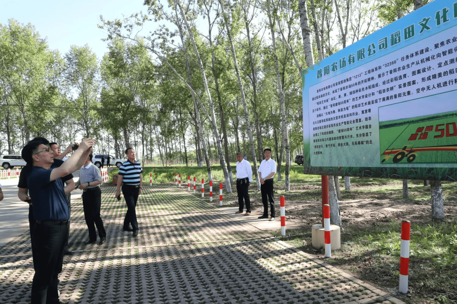 普阳农场最新动态报道