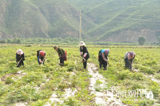 卓尼乡发展规划，迈向繁荣可持续的未来