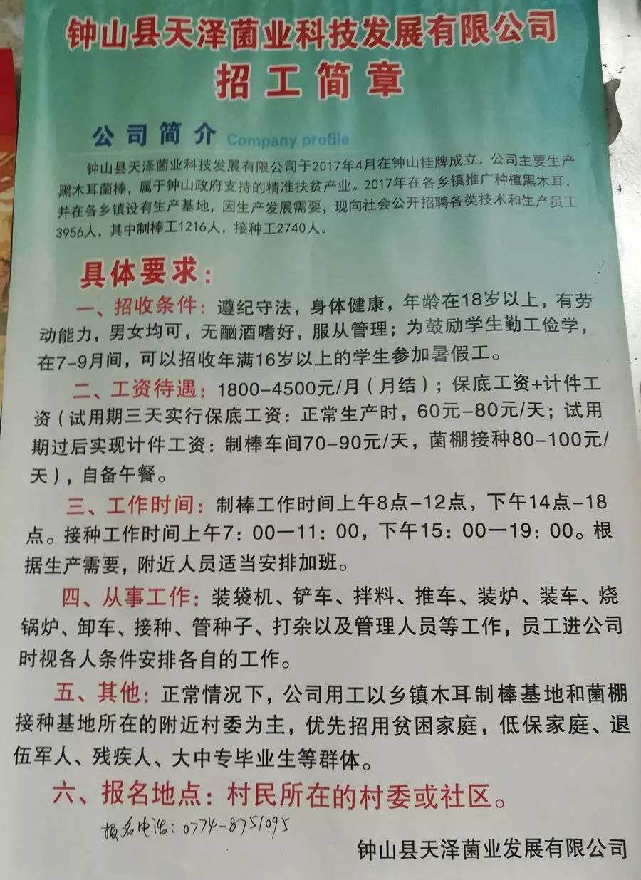 天山镇最新招聘信息全面解析